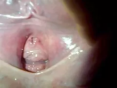 আর-জানুয়ারী 26, সরাসরি চুদা চুদি ভিডিও 2013-নিষিদ্ধ লক্ষণ