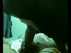 ক্যালিফোর্নিয়া বড়-বাতাপিলেবুর গাছপত্র, একটি অংশ বাংলা দেশের চুদা চুদি