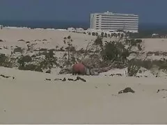 স্বর্ণকেশী গ্রাম বাংলার চুদাচুদি (2013)