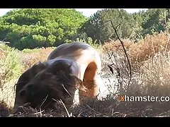 ঈক্ষণকামী সর্বজনীন ভারতীয় চুদা চুদি ভিডিও স্ত্রী