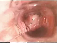 দাসত্ব, ধর্ষণ, চরম, অবাস্তব, সুন্দরি সেক্সি মহিলার) বাংলা ছবির চুদাচুদি